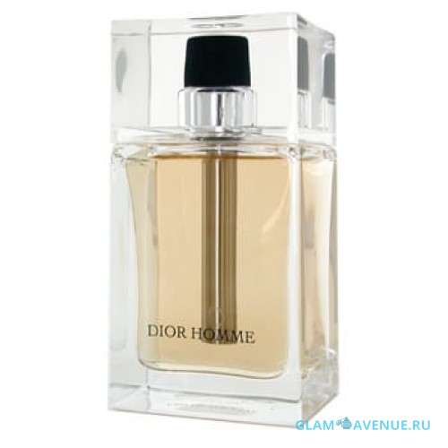 CHRISTIAN DIOR DIOR HOMME