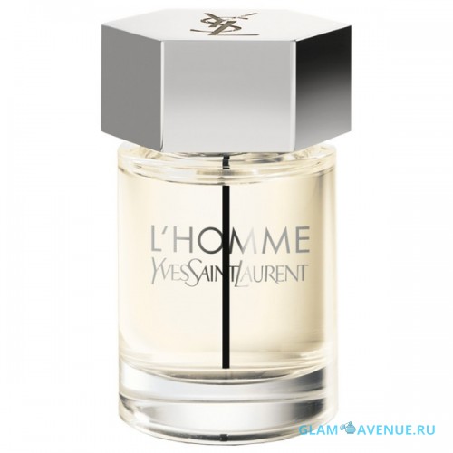 YVES SAINT LAURENT  LHomme