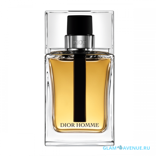 DIOR HOMME DIOR