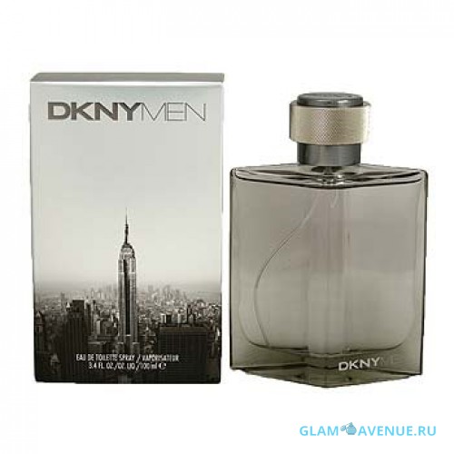 DKNY Men 2009 (Silver)