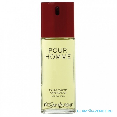 Yves Saint Laurent Yves Saint Laurent Pour Homme