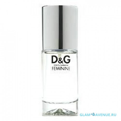 Dolce Gabbana (D&G) Feminine