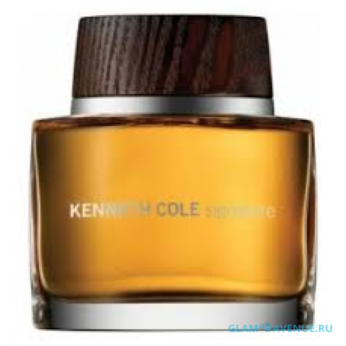 Kenneth Cole Signature men