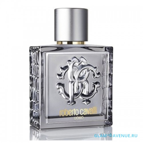 Roberto Cavalli Uomo Silver Essence