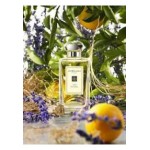 Jo Malone 154 cologne