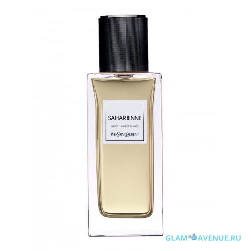 YSL Saharienne 2015