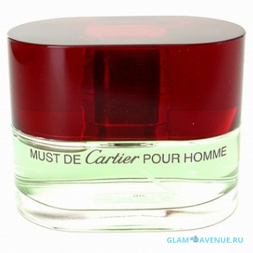 Cartier Must De Cartier For Men