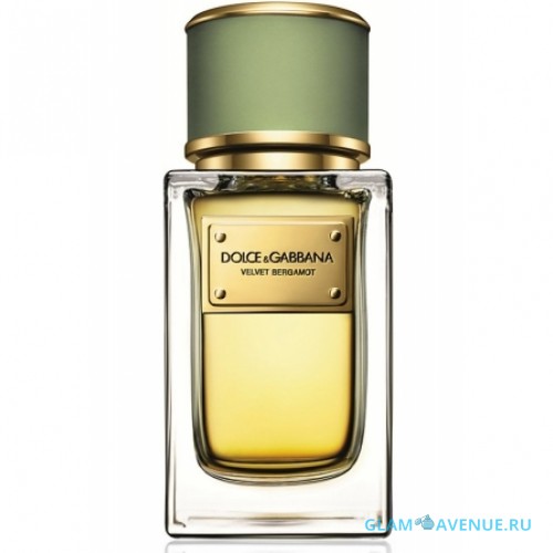 Dolce And Gabbana Velvet Bergamot