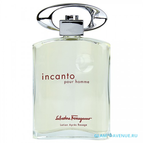 Salvatore Ferragamo Incanto Pour Homme