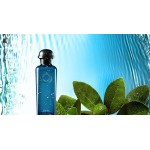 Hermes Eau De Citron Noir