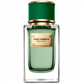 Dolce Gabbana (D&G) Velvet Cypress