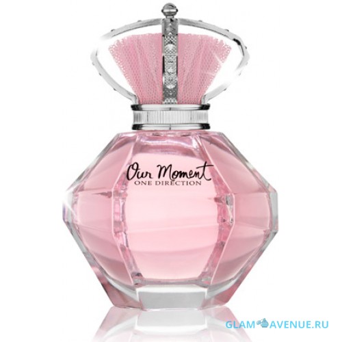 One Direction Our Moment