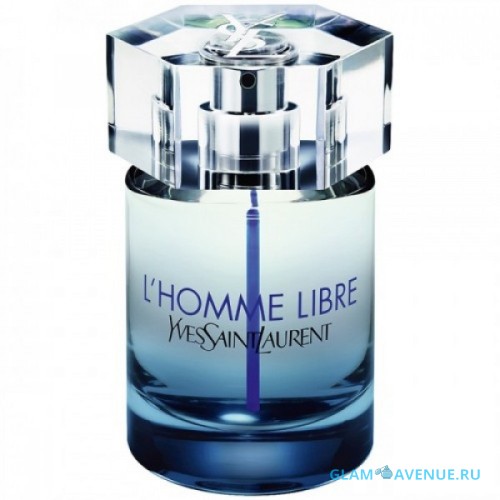 Yves Saint Laurent L`Homme Libre