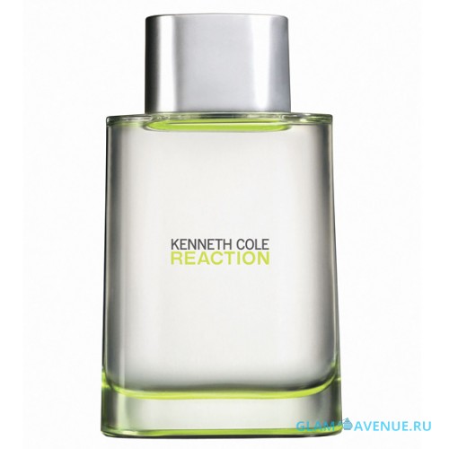 Kenneth Cole Reaction For Men