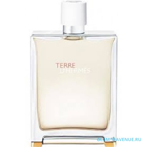 Hermes Terre D'Hermes Eau Tres Fraiche