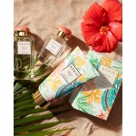 Aerin Lauder Hibiscus Palm