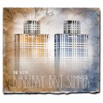 Burberry Brit Summer For Women