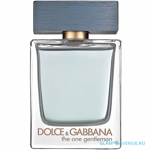 Dolce And Gabbana The One Gentleman