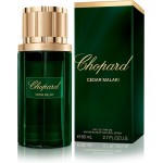 Chopard Cedar Malaki