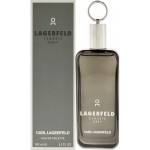 Karl Lagerfeld Classic Grey