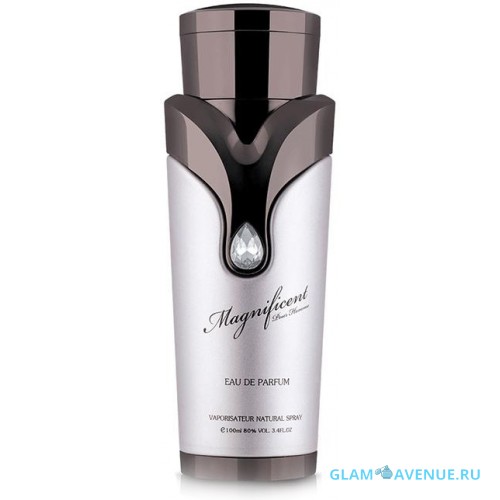 Sterling Parfums Armaf Magnificent Pour Homme