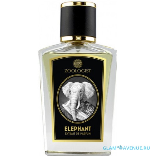 Zoologist Elephant