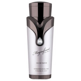 Armaf Magnificent Pour Homme