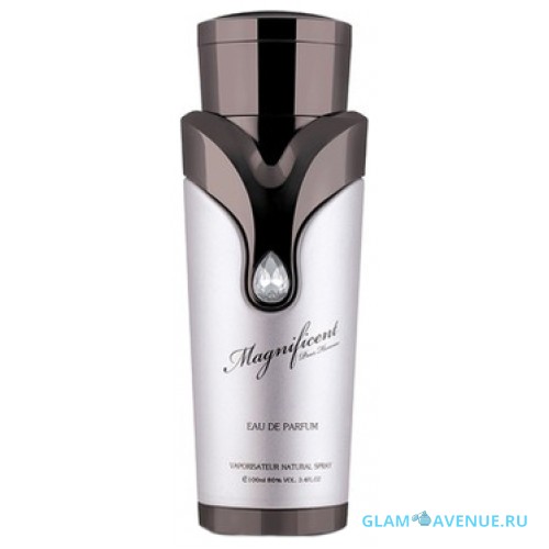 Armaf Magnificent Pour Homme