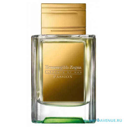 Ermenegildo Zegna Passion