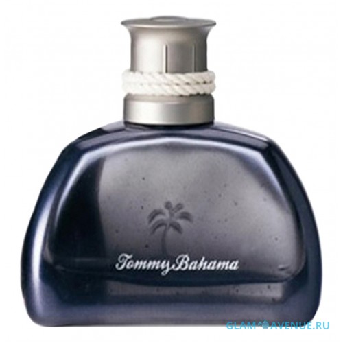 Tommy Bahama South Seas Man