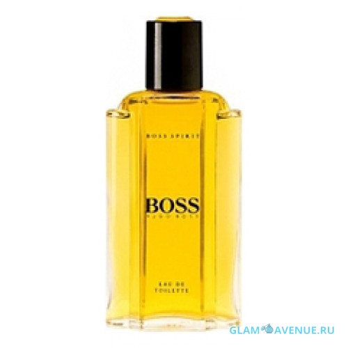 Hugo Boss Boss Spirit