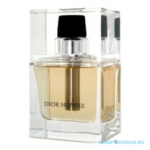 Christian Dior Homme