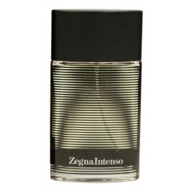 Ermenegildo Zegna Intenso