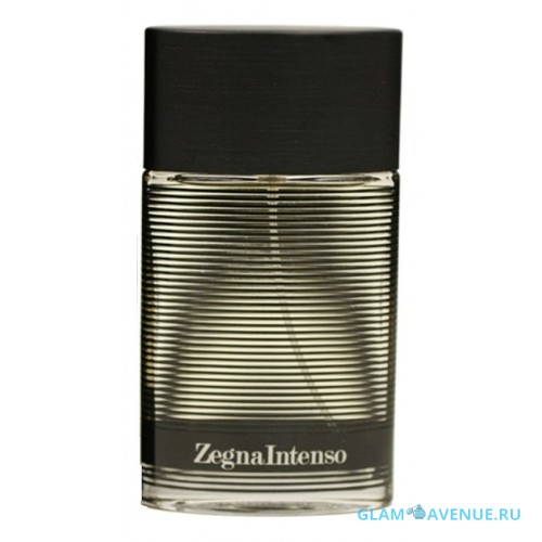 Ermenegildo Zegna Intenso