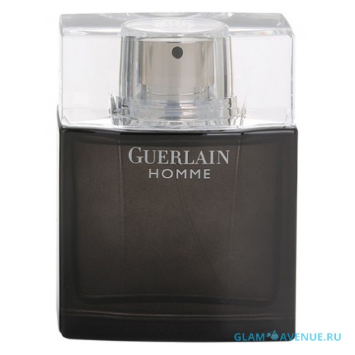 Guerlain Homme Intense